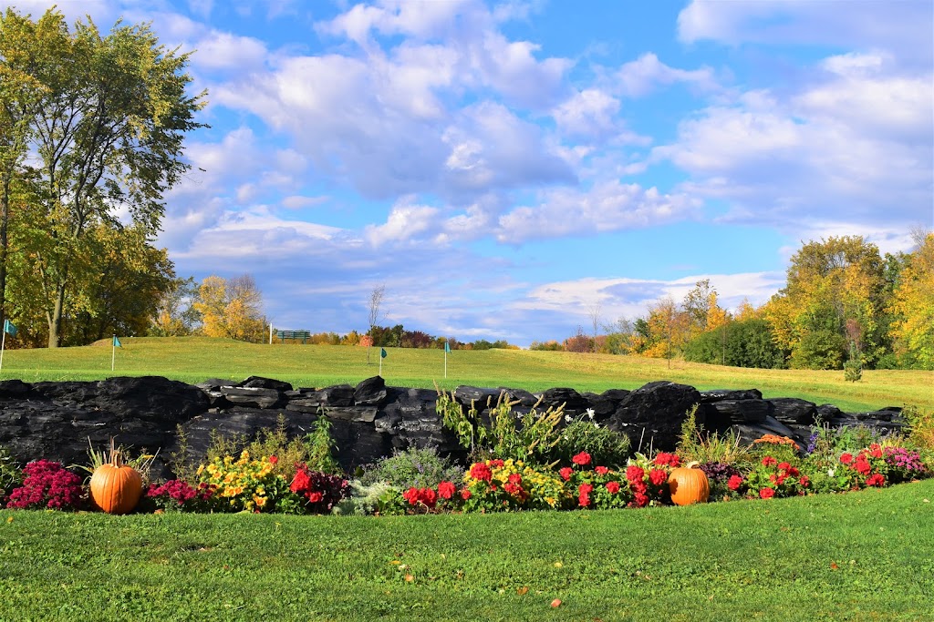 Panoramic view of a lush green golf course at Apple Island Resort Golf Clubhouse. Smooth