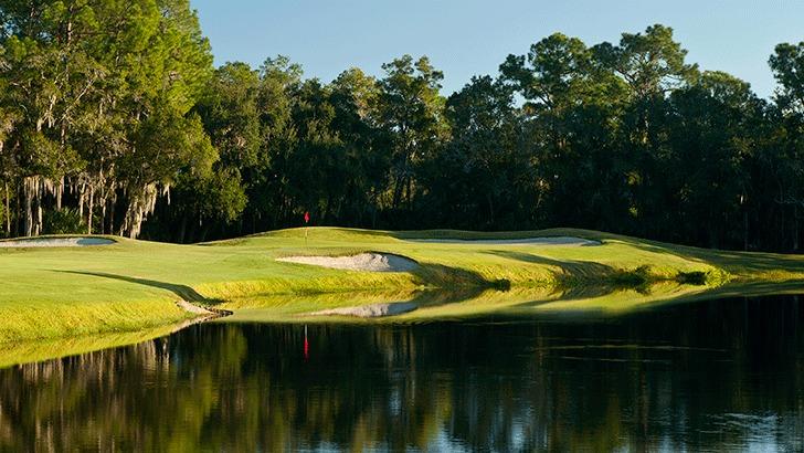 Panoramic view of a lush green golf course at Ardea Country Club. Smooth