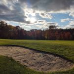 green grass with the flag in the hole.