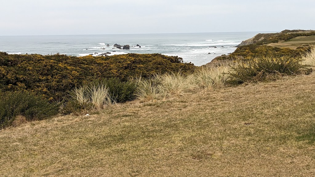 Panoramic view of a lush green golf course at Bandon Dunes Golf Resort - Old Macdonald Golf Course. Smooth