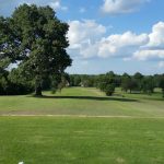 green grass with the flag in the hole.