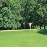 green grass with the flag in the hole.