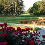 Panoramic view of a lush green golf course at Bay Pointe Country Club. Smooth