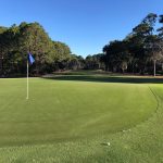 green grass with the flag in the hole.