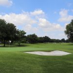 green grass with the flag in the hole.