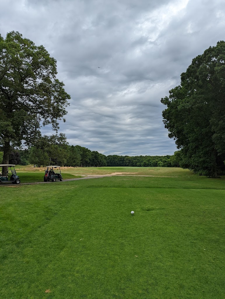 Panoramic view of a lush green golf course at Bethpage Green Golf Course. Smooth