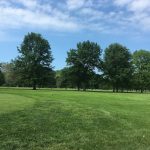 green grass with the flag in the hole.