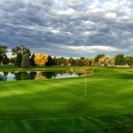 green grass with the flag in the hole.