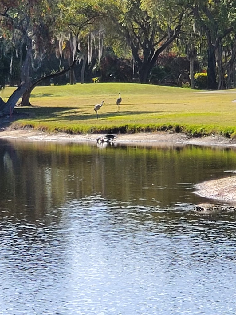 Panoramic view of a lush green golf course at Boca Royale Golf & Country Club. Smooth