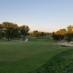 green grass with the flag in the hole.