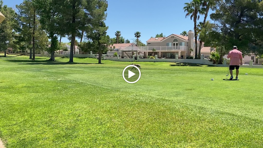 Panoramic view of a lush green golf course at Boulder City Golf Course. Smooth