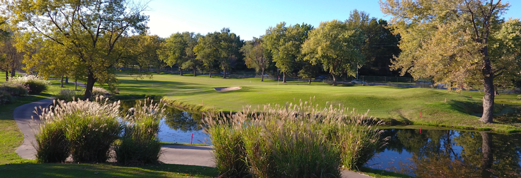 green grass with the flag in the hole.