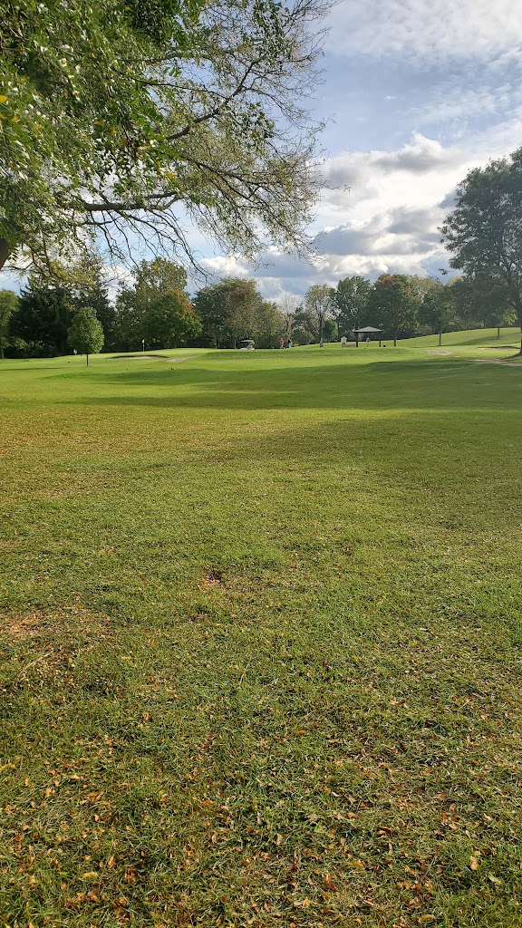 Panoramic view of a lush green golf course at Browns Lake Golf Course. Smooth