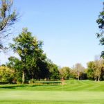 green grass with the flag in the hole.