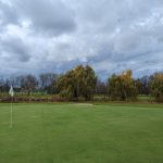 green grass with the flag in the hole.