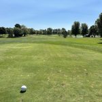 green grass with the flag in the hole.