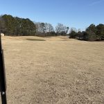 Panoramic view of a lush green golf course at Chesley Oaks Golf Course. Smooth