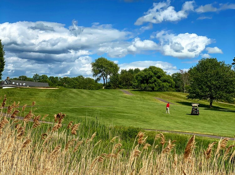 Panoramic view of a lush green golf course at Chris Bargas Golf Club at Whitney Farms. Smooth