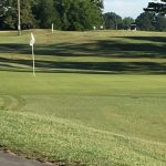 green grass with the flag in the hole.