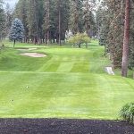 green grass with the flag in the hole.