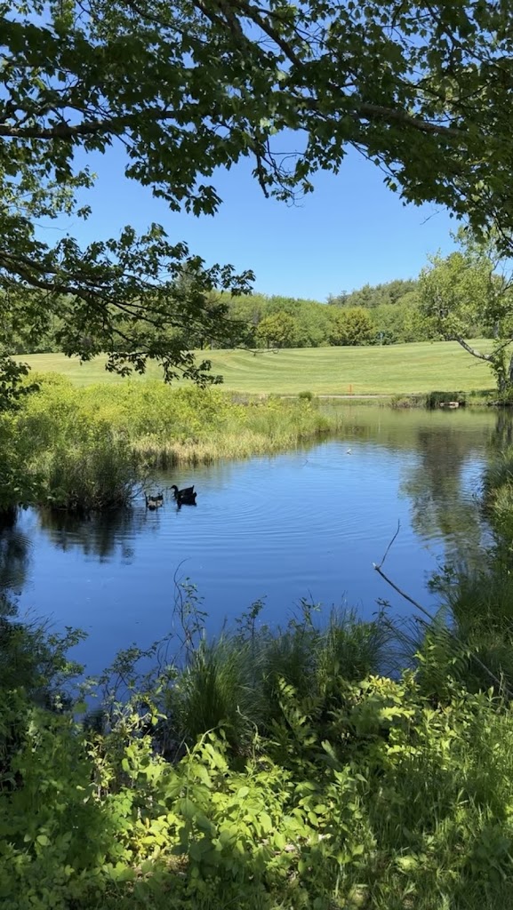 Panoramic view of a lush green golf course at Country View Golf Club. Smooth