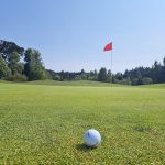 green grass with the flag in the hole.