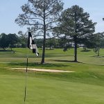 green grass with the flag in the hole.