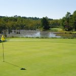 green grass with the flag in the hole.