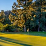 Panoramic view of a lush green golf course at DeBell Golf Club. Smooth