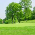 green grass with the flag in the hole.