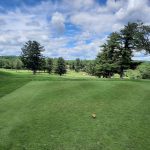 green grass with the flag in the hole.