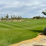 Panoramic view of a lush green golf course at Desert Forest Golf Club. Smooth