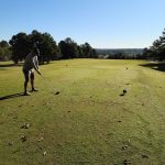 green grass with the flag in the hole.