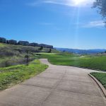 green grass with the flag in the hole.