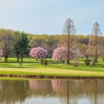 Panoramic view of a lush green golf course at Eagle's Nest Country Club. Smooth