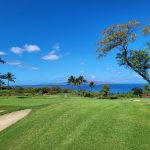 Panoramic view of a lush green golf course at Emerald Golf Course. Smooth