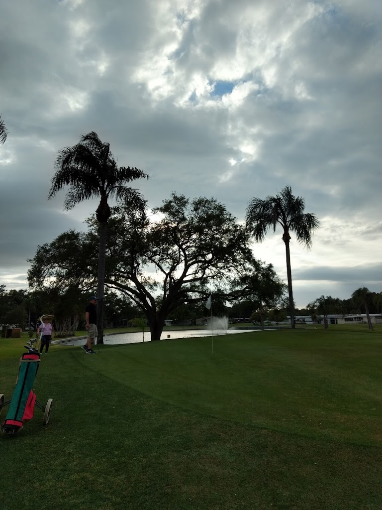 Panoramic view of a lush green golf course at Fairway Village Golf Course. Smooth