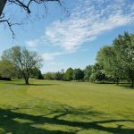 green grass with the flag in the hole.