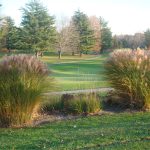 Panoramic view of a lush green golf course at Forest Hills Golf Course. Smooth