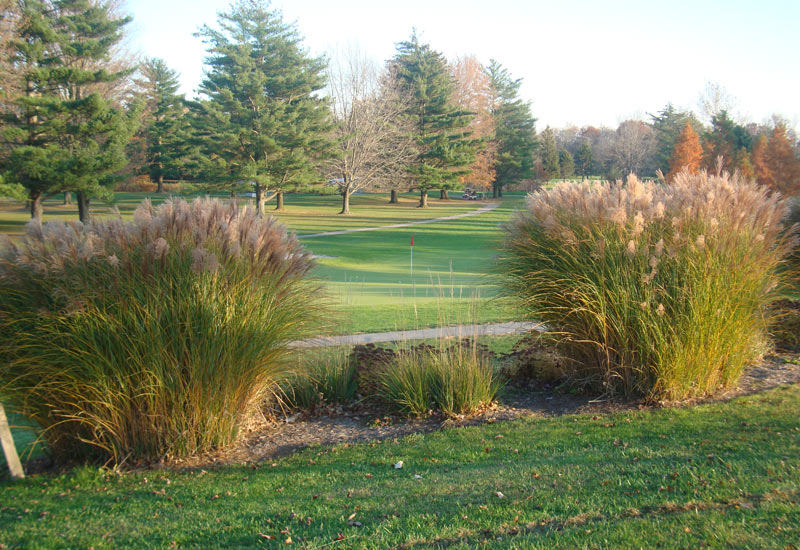 Panoramic view of a lush green golf course at Forest Hills Golf Course. Smooth