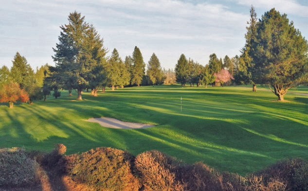 Panoramic view of a lush green golf course at Forest Hills Golf Course. Smooth