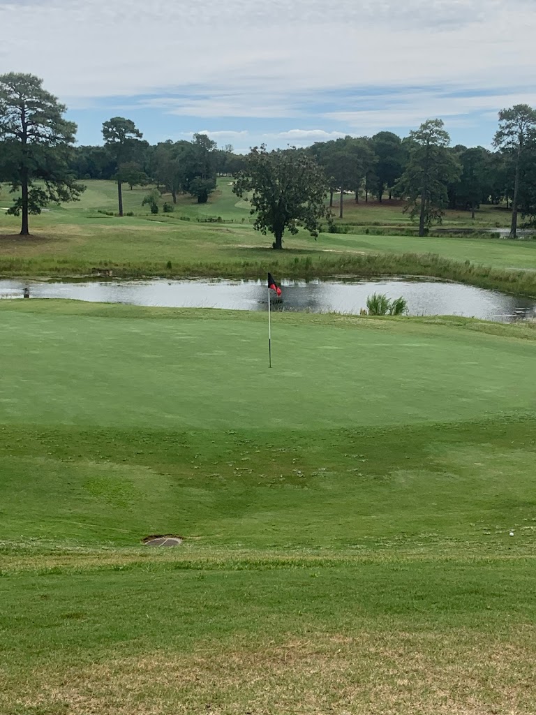 Panoramic view of a lush green golf course at Fort Jackson Golf Club. Smooth