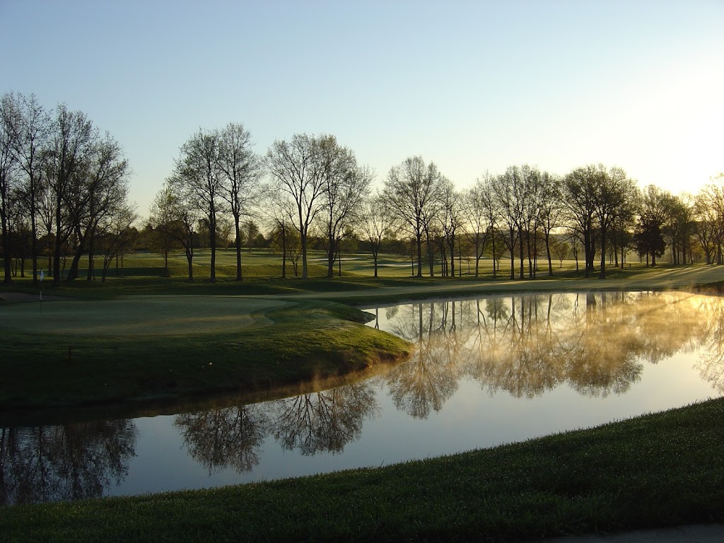 green grass with the flag in the hole.