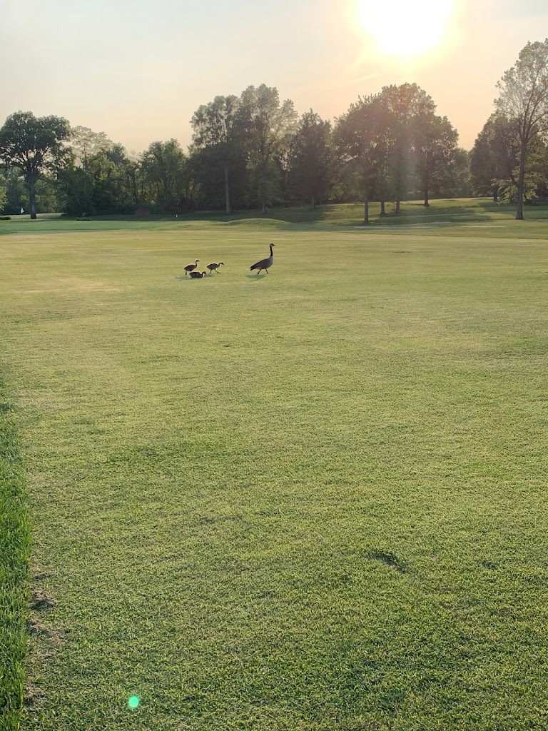 Panoramic view of a lush green golf course at Friendly Meadows Golf Course. Smooth