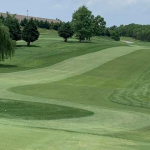 green grass with the flag in the hole.