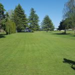 green grass with the flag in the hole.