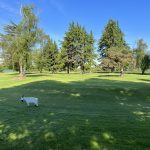 Panoramic view of a lush green golf course at Frontier Golf Course. Smooth