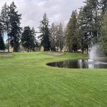 green grass with the flag in the hole.