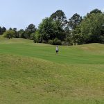 green grass with the flag in the hole.