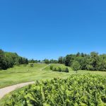 Panoramic view of a lush green golf course at Goose River Golf Course. Smooth